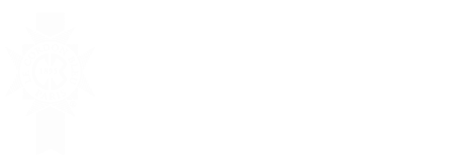 Flow logotipas